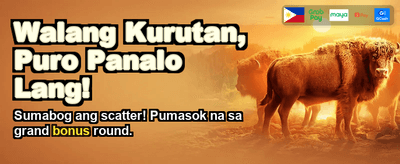 Experience Premium Gaming Now